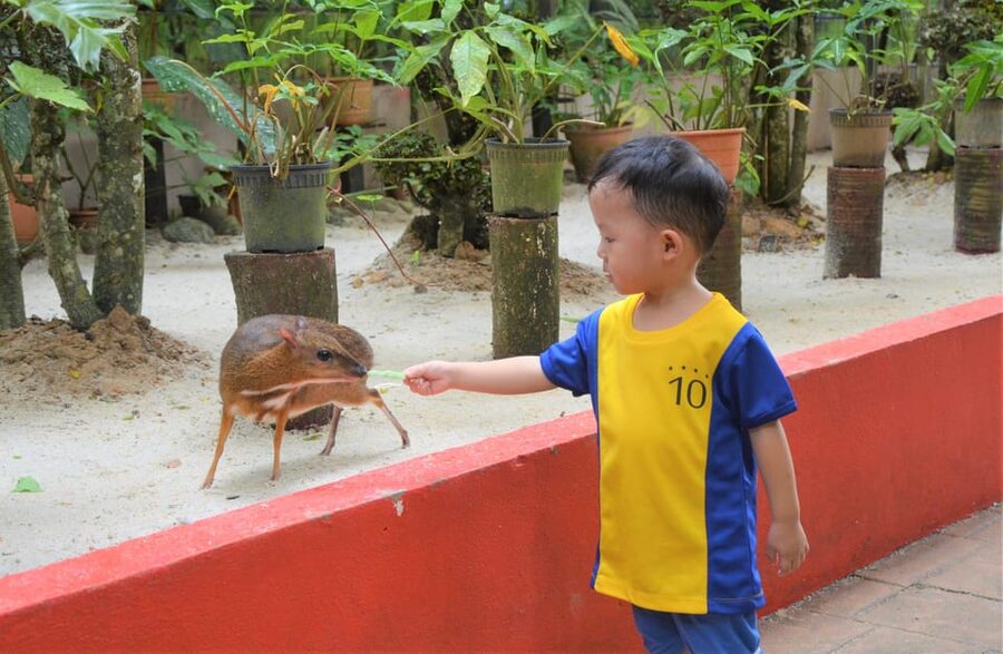 Langkawi: Wildlife Park Admission Ticket - Check the crocodile show schedule before arriving