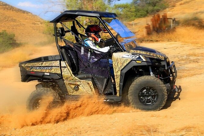 Las Vegas Guided UTV Safari and Zoo Tour - The animal portion: camels, zebras, and smaller surprises