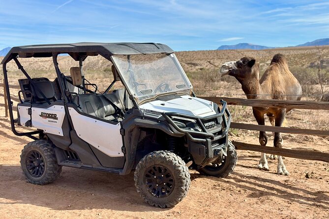 Las Vegas Guided UTV Safari and Zoo Tour - From safari tram to Mohave Desert trails