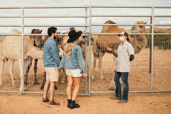 Las Vegas Safari Tram Ride and Zoo Tour at Camel Safari - Close encounters with the animals