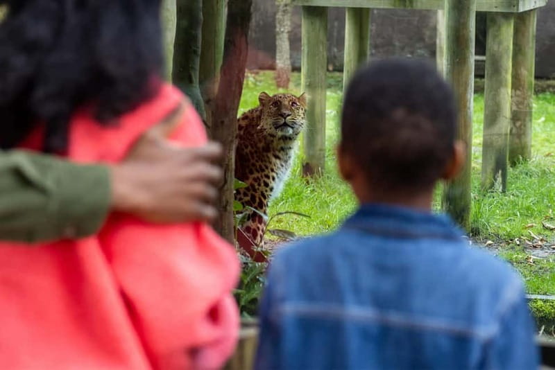Leicestershire: Twycross Zoo Entry Ticket - Key points to know before you go