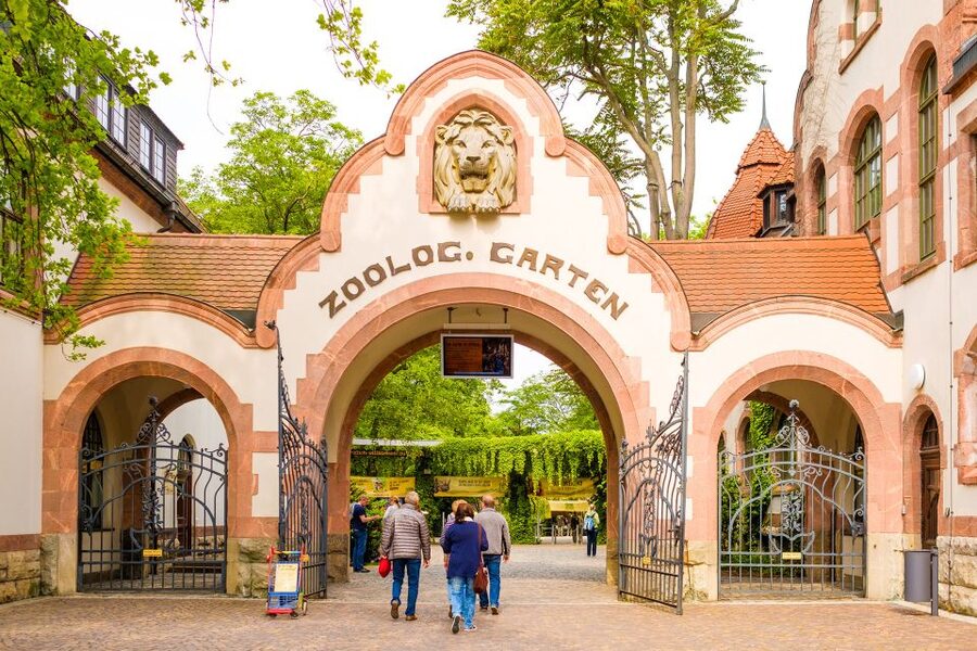 Leipzig: 1-Day Hop-On Hop-Off Bus and Leipzig Zoo Ticket - Who should book this Leipzig day ticket