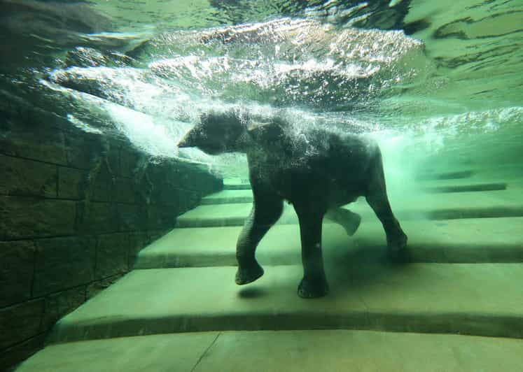 Leipzig Zoo: Entry Ticket - The Asian habitat and underwater elephants
