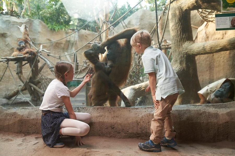 Leipzig Zoo: Entry Ticket - Practical advice for a smoother visit