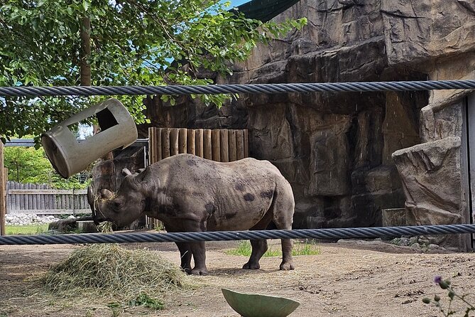 Lincoln Park Nature Museum & Zoo Private Walking Tour - Why a private guide changes the experience