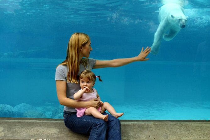 Lincoln Park Zoo Adventure - Key points to know before you go