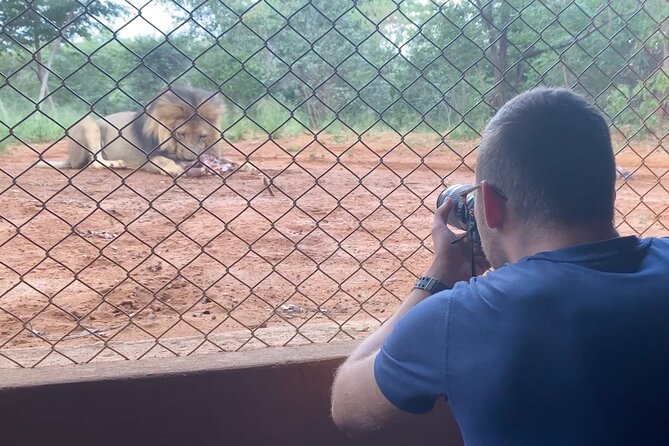 Lion & Wildlife Sanctuary Excursion Victoria Falls - Sanctuary experience or zoo-style display?
