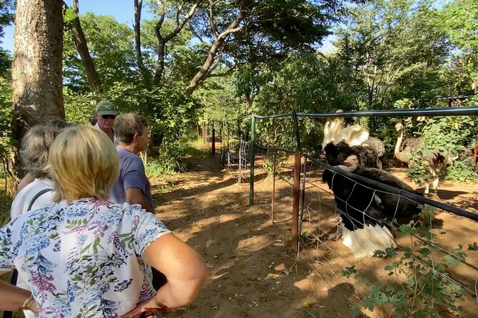 Lion & Wildlife Sanctuary Excursion Victoria Falls - How much value do you get for $120?