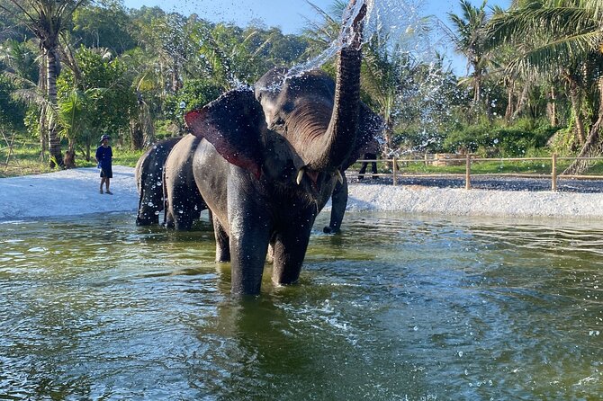 Living Green Elephant Sanctuary Experience near Bangkok & Pattaya - Key points at a glance
