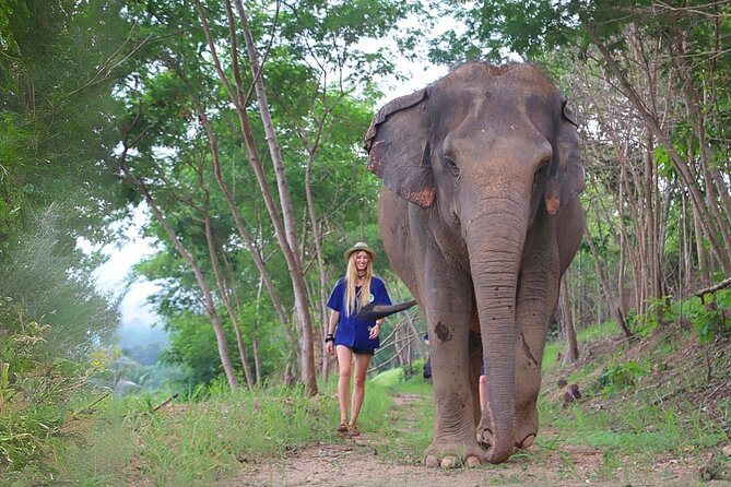 Living Green Elephant Sanctuary Tour from Bangkok and Pattaya - Key points at a glance