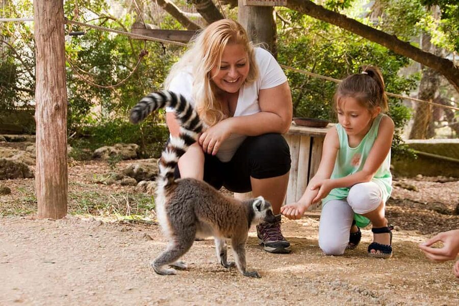 Lloc de Menorca Animal Park: Wildlife & Nature Experience - The water play area for hot days