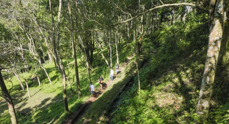 Lombok: Tetebatu Walk, Waterfall, Monkey Forest & Cooking - Black monkeys in Tetebatu’s forest