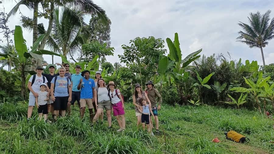 Lombok: Tetebatu Walking Tour with Monkey Forest & Waterfall - Walking the rice terraces below Mount Rinjani