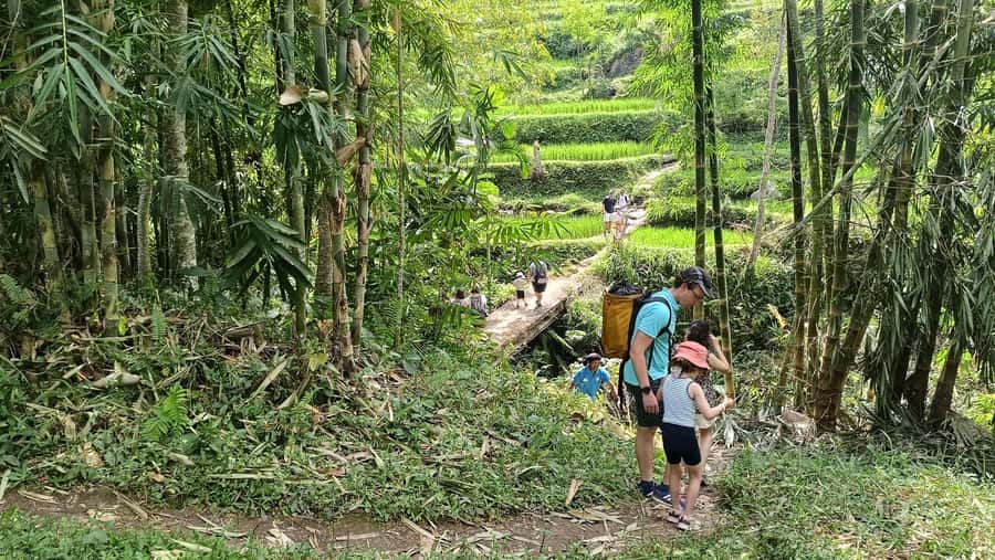 Lombok: Tetebatu Walking Tour with Monkey Forest & Waterfall - Spice plants, coffee, and the work behind the scenery
