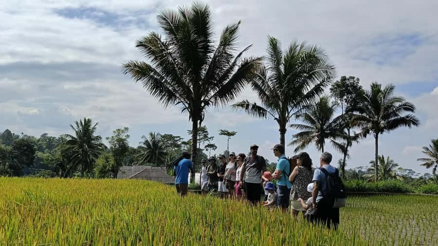 Lombok: Tetebatu Walking Tour with Monkey Forest & Waterfall - Looking for black monkeys in the forest