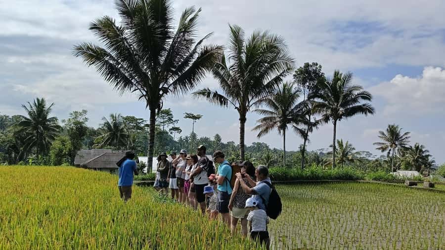 Lombok: Tetebatu Walking Tour with Monkey Forest & Waterfall - Meeting Sasak communities in Tetebatu