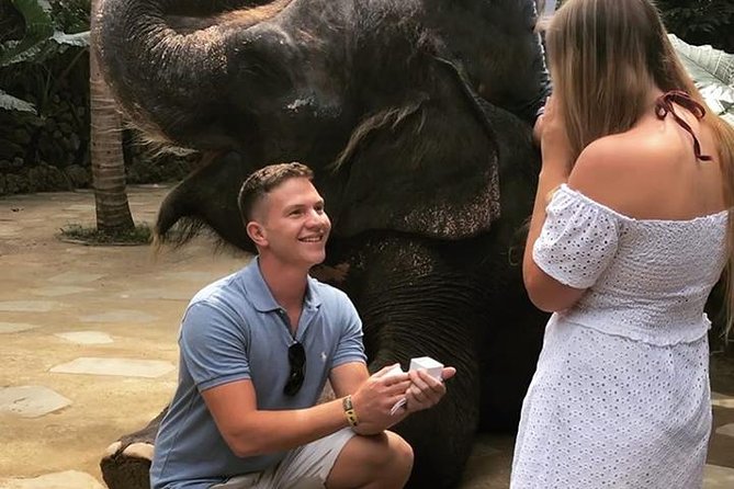 Lombok Wildlife Park Ticket - The elephant experience is the main draw