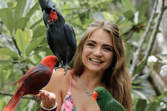 Lombok Wildlife Park Ticket - Lunch and the two on-site eateries