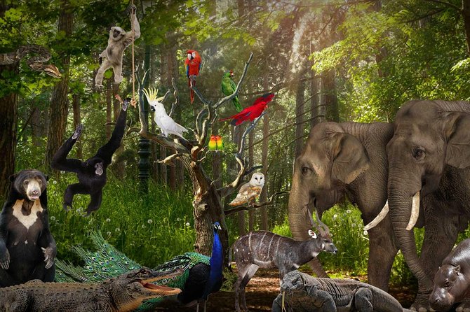 Lombok Wildlife Park Ticket - Is $39 good value?