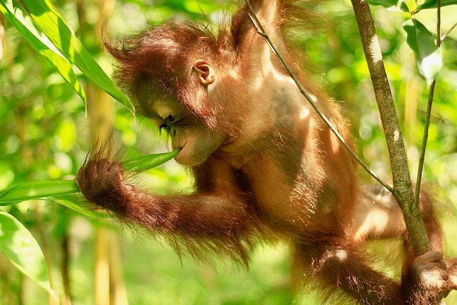 Lombok Wildlife Park Ticket - Practical details before you book
