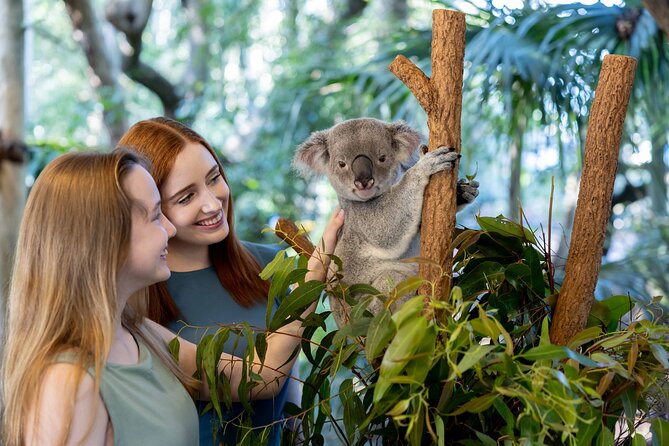Lone Pine Koala Sanctuary Day Pass - Meeting Australian wildlife close to Brisbane