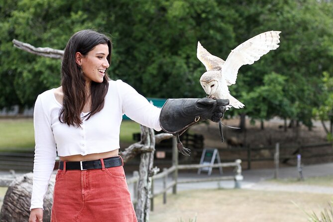 Lone Pine Koala Sanctuary Day Pass - How long you should allow