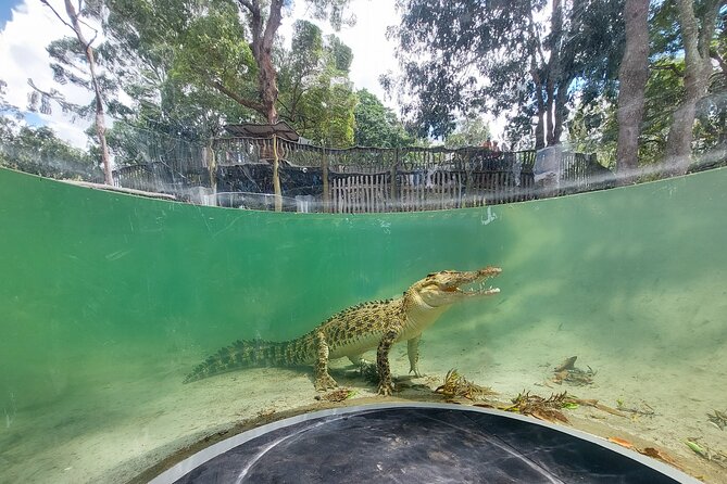 Lone Pine Koala Sanctuary Day Pass - Is the $42.32 ticket good value?