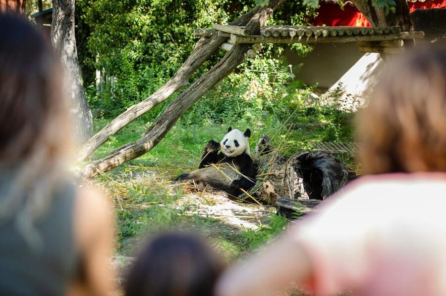 Madrid: Zoo Aquarium Madrid Ticket - A full day inside Madrid’s Casa de Campo