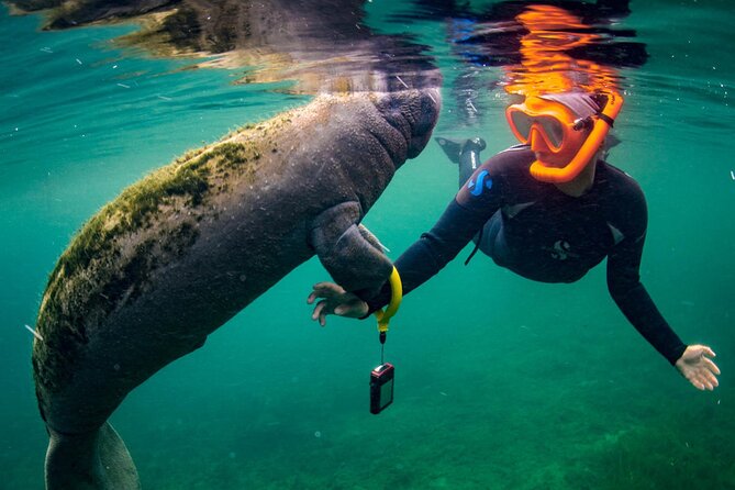 Manatee Snorkeling Adventure Tour with Lunch & Hotel Pickup - What to bring and how to manage the long day