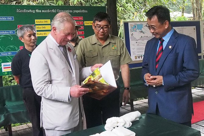Marvellous Creature Orangutan : Sarawak Semenggoh Wildlife Centre Tour - Leaving Kuching With a Small Group