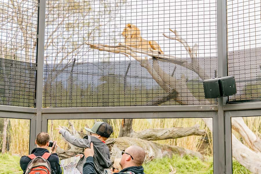 Melbourne Zoo: 1-Day Entry Ticket - Maps, paths and finding your way around