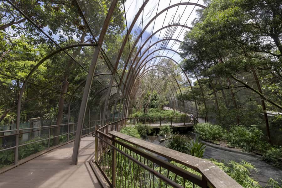Melbourne Zoo: Australian Wildlife Experience Ticket - Native birds in the Great Flight Aviary