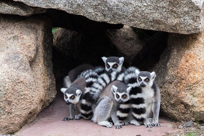 Melbourne Zoo General Entry Ticket - The Butterfly House and hands-on areas for children
