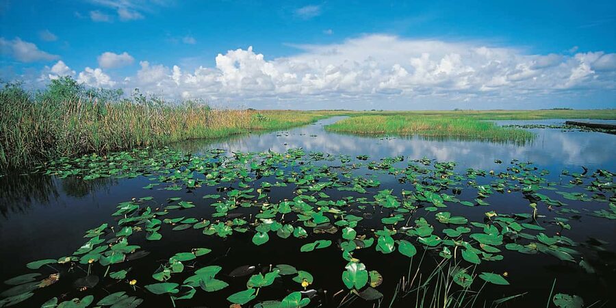 Miami Beach: Everglades Airboat & Wildlife Sanctuary - FAQ