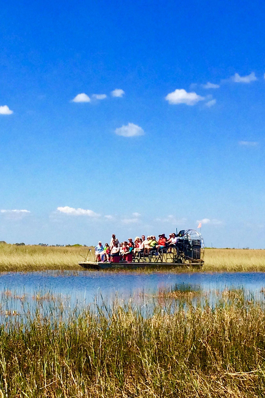 Miami Beach: Everglades Airboat & Wildlife Sanctuary - Wildlife without false promises