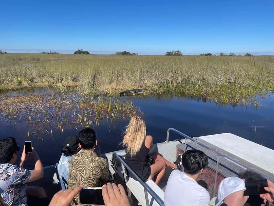 Miami: Everglades Airboat & Animal Sanctuary Tour with Photo - The visitor center stop and wildlife program