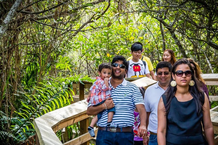 Miami: Everglades Safari Park Airboat Tour - Key points at a glance