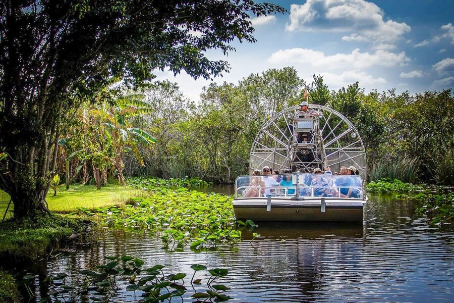 Miami: Everglades Safari Park Airboat Tour - Looking for alligators and other wildlife