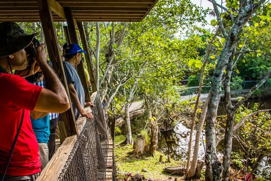 Miami: Everglades Safari Park Airboat Tour - The Wildlife Nature Show after the ride
