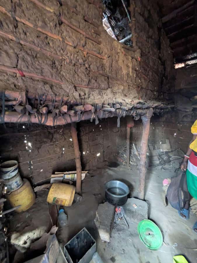 Mombasa Cultural & Wildlife Experience - Coconut water, palm wine, and a short pause