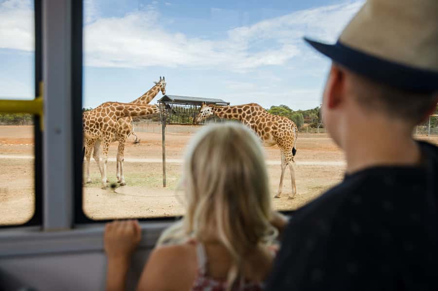 Monarto Safari Park: General Admission Tickets - Getting started at the entrance