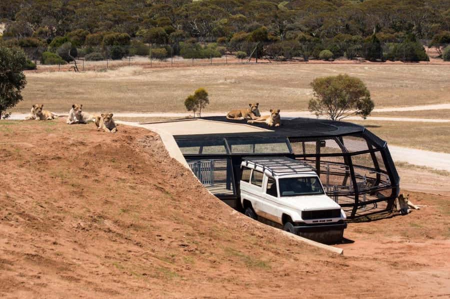 Monarto Safari Park: General Admission Tickets - Walking the 15 km trail network