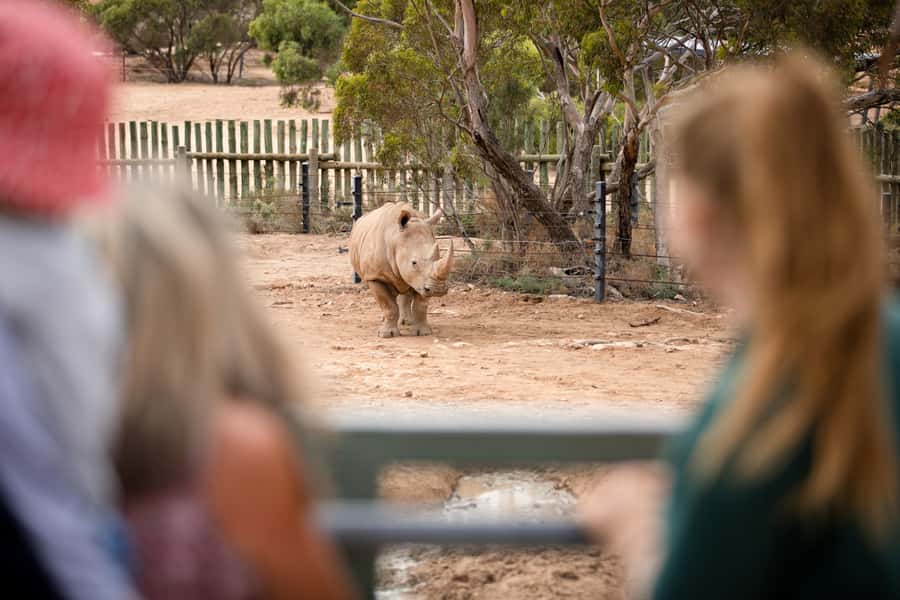 Monarto Safari Park: General Admission Tickets - Keeper talks add meaning to the visit