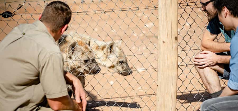 Monarto Safari Park: Keeper for a Day - A Working Day Begins at 9:30 AM