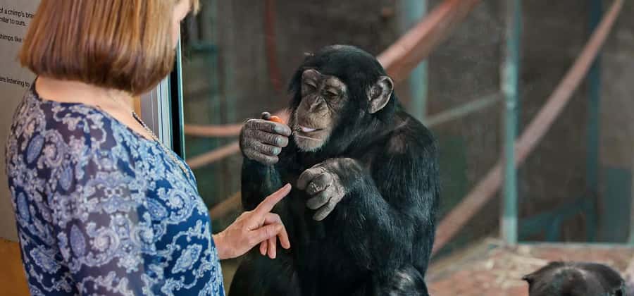 Monarto Safari Park: Keeper for a Day - Conservation Beyond the Animal Encounters