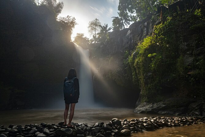 Monkey Forest, Temple, Waterfall and Rice Terrace in Ubud Tour - The art market and small route changes