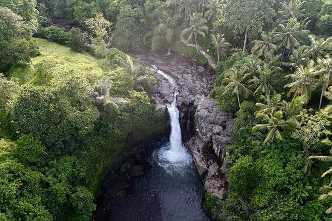 Monkey Forest Ubud Half day Tour - Ulu Petanu Waterfall adds a natural finish