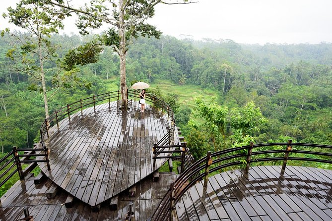 Monkey Forest, Ubud, Waterfall and Rice Terrace - Tegallalang Rice Terrace: the scenic heart of the day