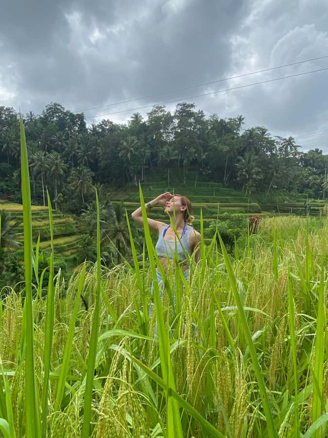 Monkey Forest, Waterfall ,Temple and Rice Terrace - Key points to know before booking