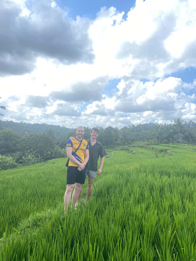 Monkey Forest, Waterfall ,Temple and Rice Terrace - Who will get the most from this route